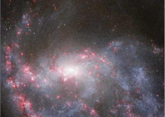 Hubble view of NGC 922(NASA,ESA)